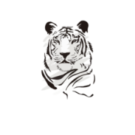 TIGER SMS